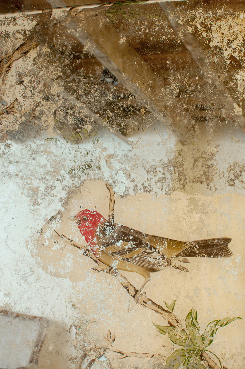 Espejo Edicion Especial Envejecido de Arantxa Hergueta